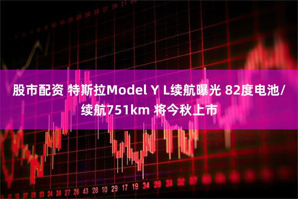 股市配资 特斯拉Model Y L续航曝光 82度电池/续航751km 将今秋上市
