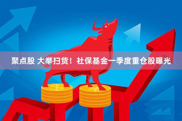 聚点股 大举扫货！社保基金一季度重仓股曝光